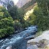 joe_sherman05